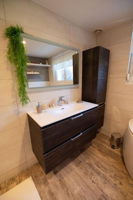 Gite Les Lavandieres Saasenheim Ngoại thất bức ảnh